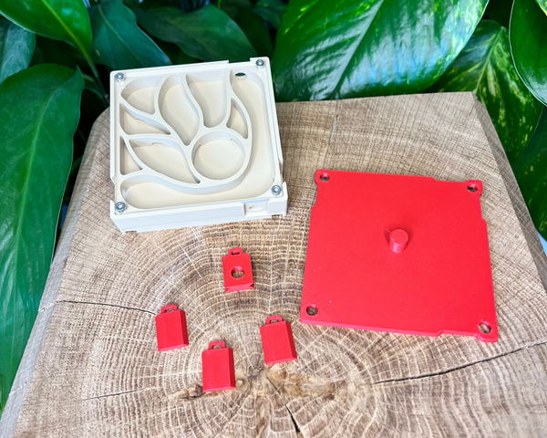 Extension de nid 80x80 - La Petite Fourmi