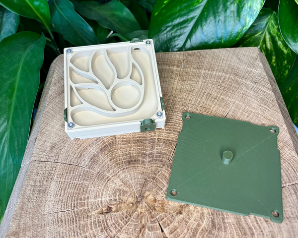 Extension de nid 80x80 - La Petite Fourmi