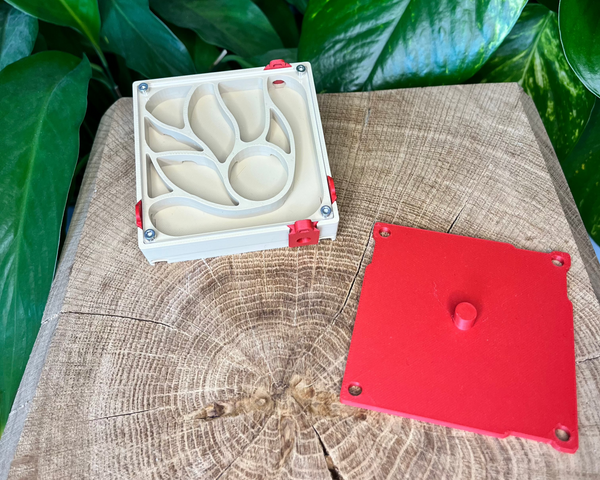 Extension de nid 80x80 - La Petite Fourmi