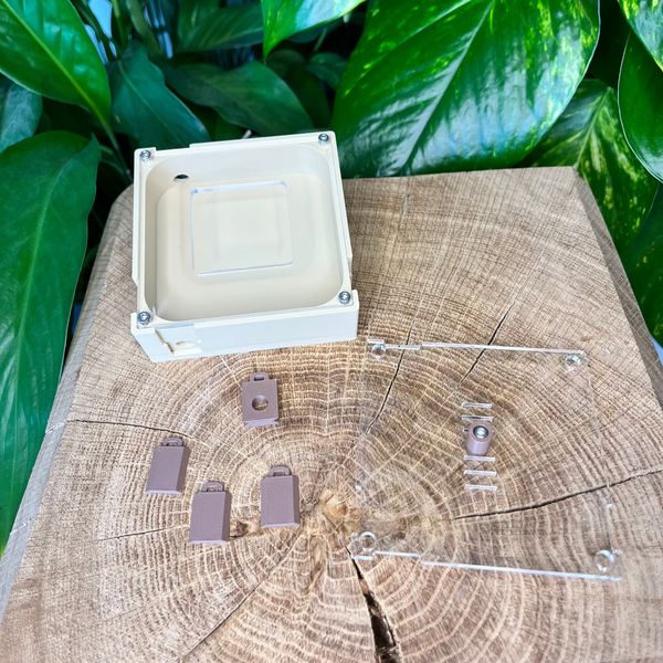 Aire de chasse 80x80 - La Petite Fourmi