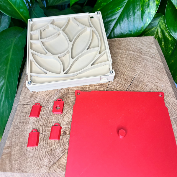 Extension de nid 120x120 - La Petite Fourmi