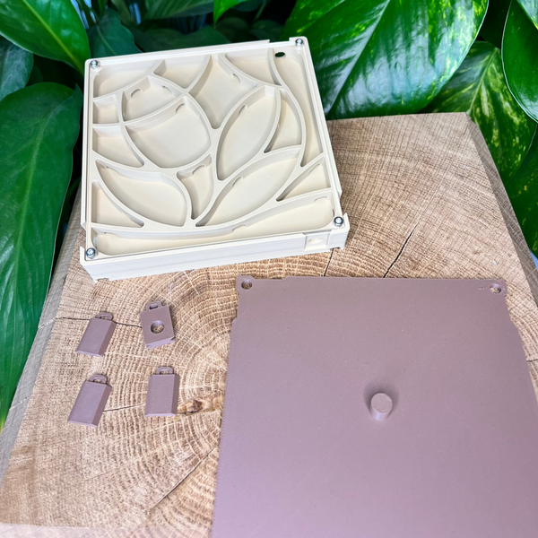 Extension de nid 120x120 - La Petite Fourmi