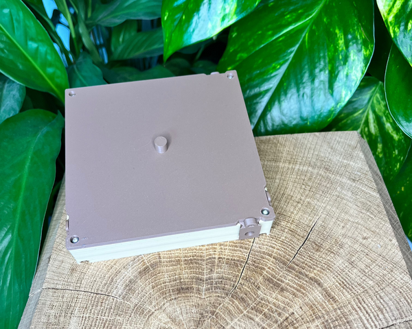 Extension de nid 120x120 - La Petite Fourmi