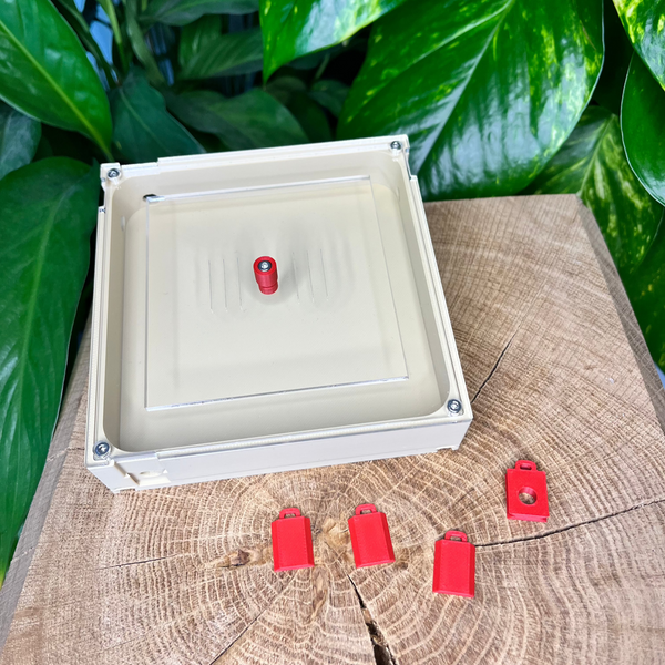 Aire de chasse 120x120 La Petite Fourmi