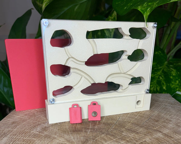 Extension de Nid Vertical 120mm La Petite Fourmi