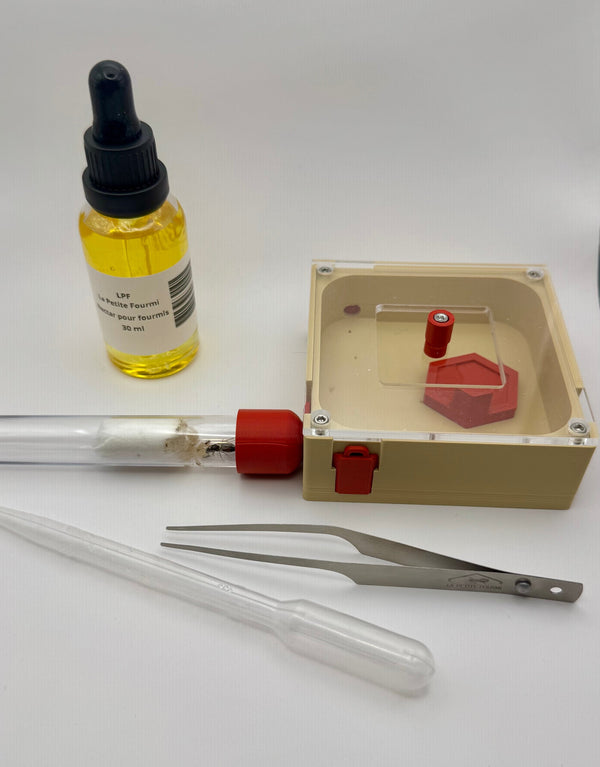 Kit de Démarrage Fourmis – Tout-en-un pour débuter l'élevage