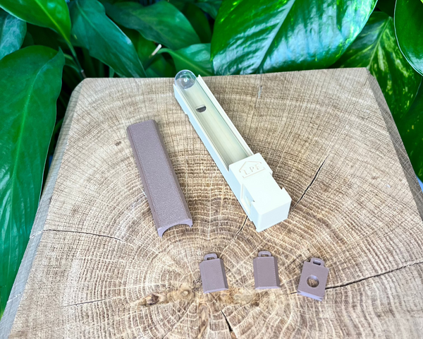 Kit d'installation pour Reine après essaimage - La Petite Fourmi