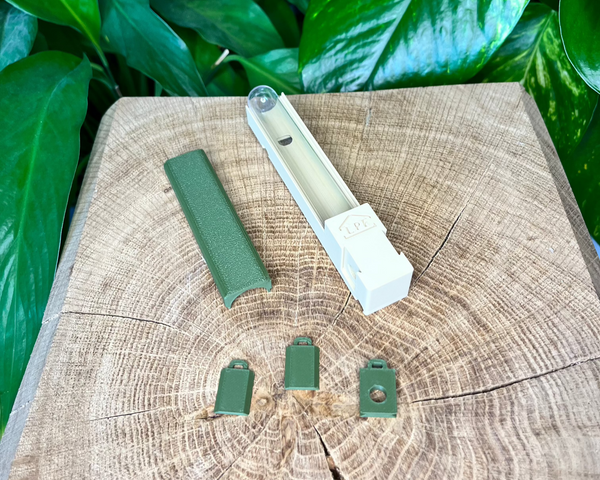 Kit d'installation pour Reine après essaimage - La Petite Fourmi