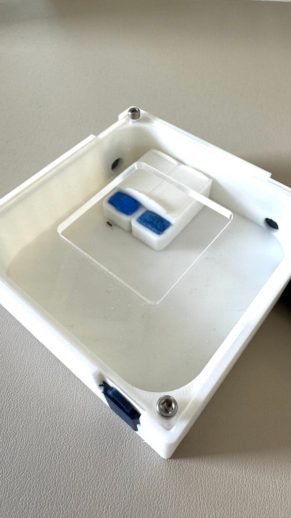 Mini abreuvoir plat et sécurisé pour fourmis