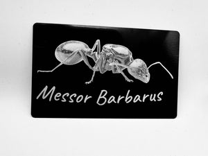 Carte métallique noire personnalisée gravure fourmi – cadeau myrmécologie La Petite Fourmi