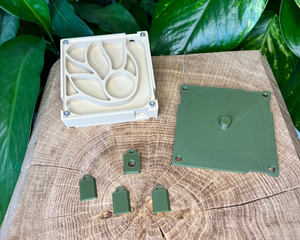 Extension de nid 80x80 - La Petite Fourmi