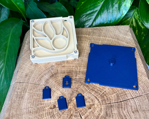 Extension de nid 80x80 - La Petite Fourmi