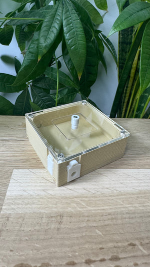 Aire de chasse 80x80 pour fourmis – module plastique transparent La Petite Fourmi